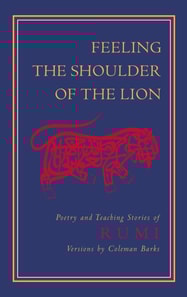 Feeling the Shoulder of the Lion