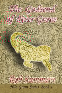 Godsend of River Grove