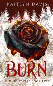 Burn (Midnight Fire Series Book Five)