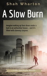 Slow Burn: A Post-Apocalyptic Horror