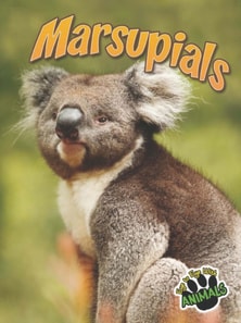 Marsupials