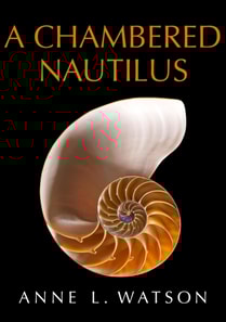 Chambered Nautilus