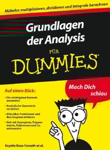 Grundlagen der Analysis für Dummies