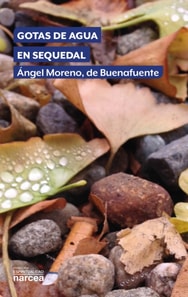 Gotas de agua en sequedal