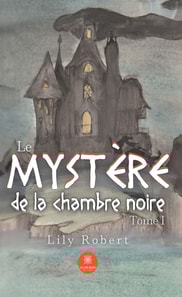 Le mystere de la chambre noire - Tome 1