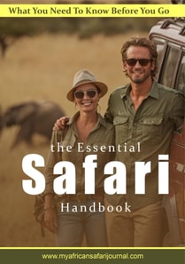 Essential Safari Handbook