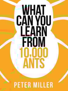 What You Can Learn From 10,000 Ants