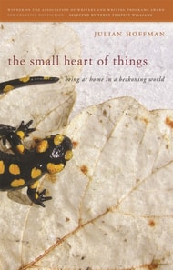 Small Heart of Things