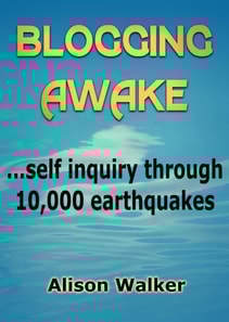 Blogging Awake: self inquiry through 10,000 earthquakes
