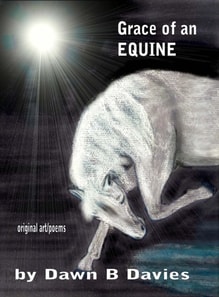 Grace of an Equine