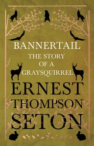 Bannertail - The Story of a Gray Squirrel