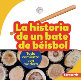 La historia de un bate de béisbol (The Story of a Baseball Bat)