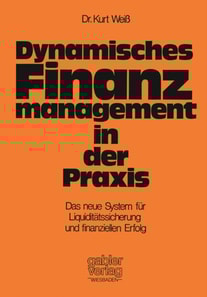 Dynamisches Finanzmanagement in der Praxis