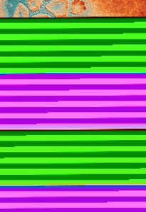 LANGE Pathology Flash Cards, Fourth Edition