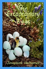 Extraordinary Eggs
