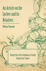 Article on the Lychee and its Relatives - Being Fruits of the Sapindaceae Family Found in the Tropics