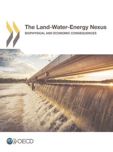 Land-Water-Energy Nexus Biophysical and Economic Consequences