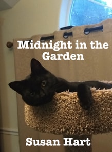 MIdnight in the Garden