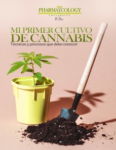 Mi Primer Cultivo de Cannabis