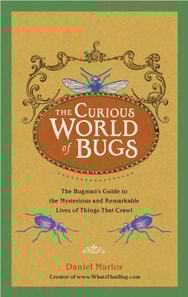 Curious World of Bugs