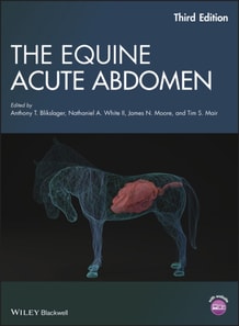 Equine Acute Abdomen