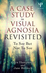 Case Study in Visual Agnosia Revisited