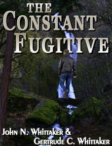 Constant Fugitive