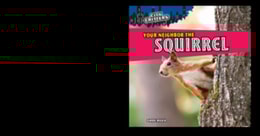 Your Neighbor the Squirrel