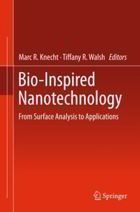 Bio-Inspired Nanotechnology