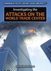 Investigating the Attacks on the World Trade Center