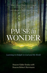 Pause in Wonder