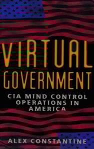 Virtual Government