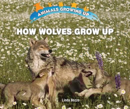 How Wolves Grow Up