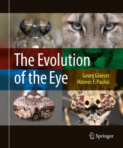 Evolution of the Eye