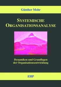 Systemische Organisationsanalyse