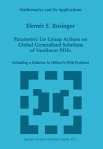 Parametric Lie Group Actions on Global Generalised Solutions of Nonlinear PDEs