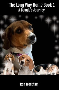 Long Way Home Book 1