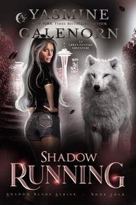Shadow Running: An Urban Fantasy Adventure