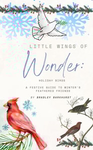 Little Wings of Wonder:  Holiday Birds - A Festive Guide to Winter's Feathered Friends