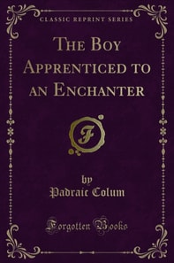 Boy Apprenticed to an Enchanter