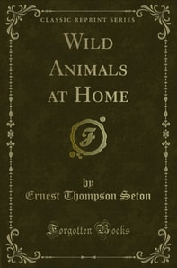 Wild Animals at Home