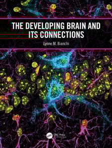Developing Brain and its Connections