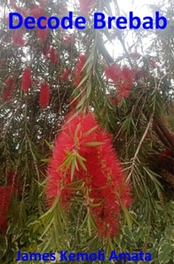 Decode Brebab
