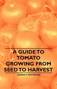 Guide to Tomato Growing from Seed to Harvest