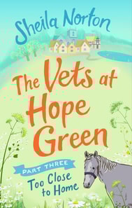 Vets at Hope Green: Part Three
