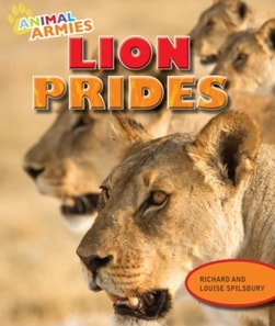 Lion Prides