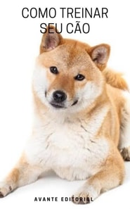 Como treinar seu cão