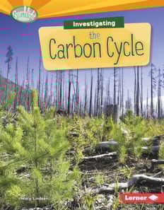 Investigating the Carbon Cycle