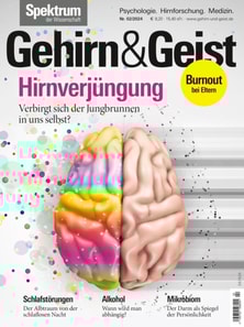 Gehirn&Geist 2/2024 Hirnverjüngung