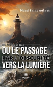 La vie en indigo ou le passage par l'obscurite vers la lumiere